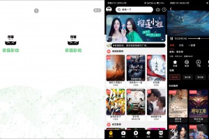 夜猫影视去广告